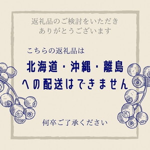 【訳あり】朝摘み ブルーベリー 生果実 800g ブルーベリー ブルーベリー ブルーベリー ブルーベリー ブルーベリー