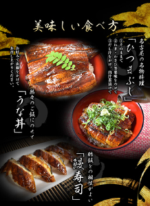 うなぎ蒲焼 4尾 計約860g～960g （タレ・山椒付き） 1尾で約215g～240gのビッグサイズ 【通常発送】【nks702B-y】