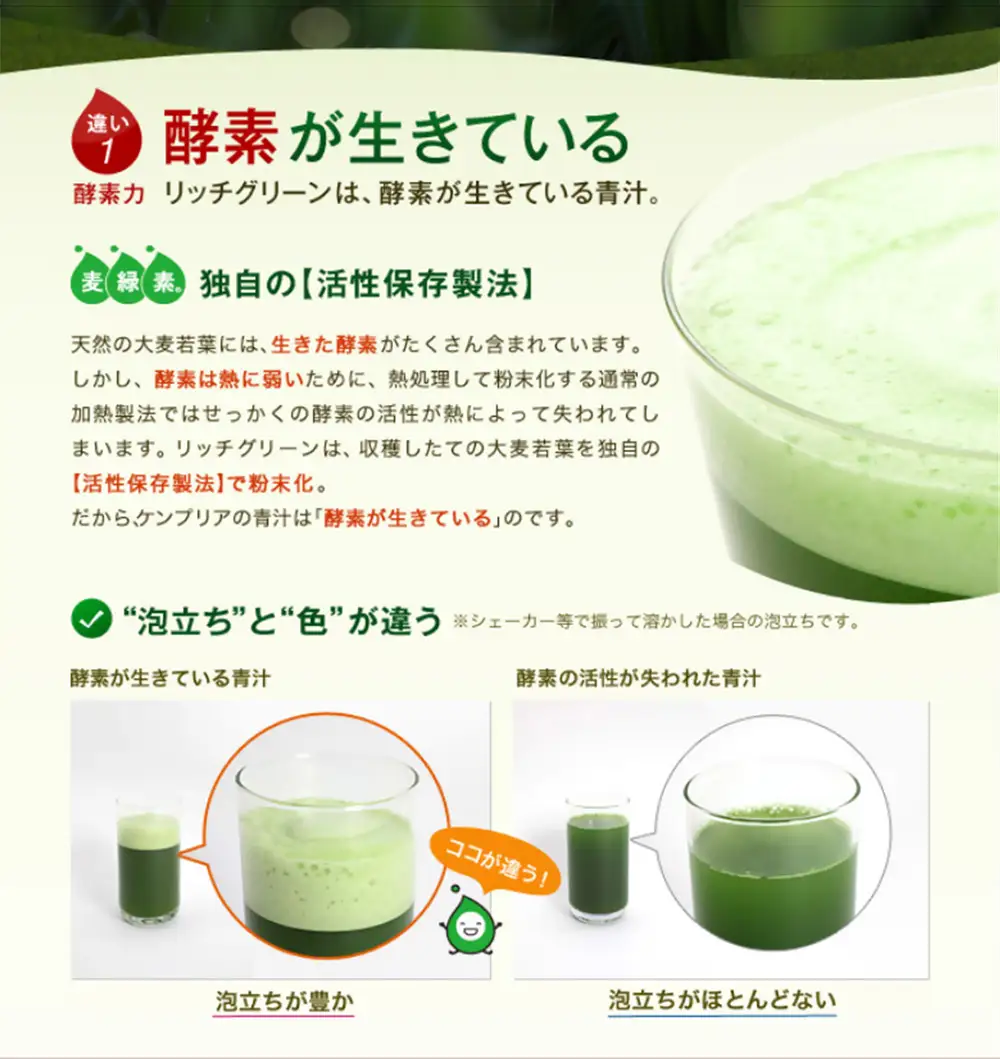 リッチグリーン(計180g・3g×30スティック×2個)青汁 スムージー 大麦若葉 飲料 粉末 常温【103100400】【ケンプリア】
