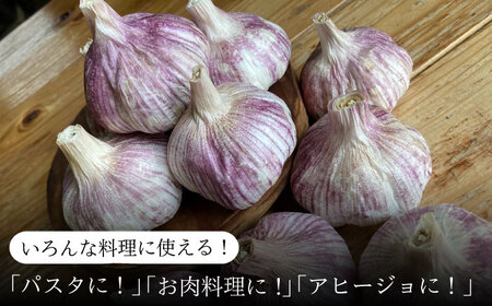 香り高い！ 紫にんにく 1kg 野菜 薬味 ニンニク 【浅田峠自然塾】[EA17] にんにく 紫 ニンニク