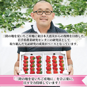 いちご 400g ソース セット 苺 果物 くだもの フルーツ フルーツソース おやつ ヨーグルト アイス ストロベリー strawberry 岩手県 大船渡市