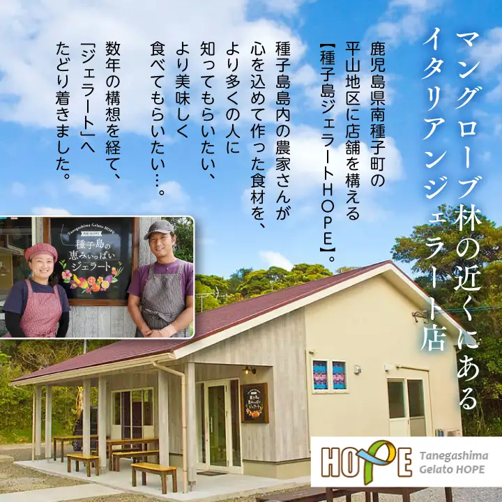 ミルティッリ（ジェラートケーキ）【種子島ジェラートＨＯＰＥ】