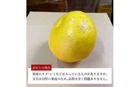 【先行予約】 訳あり 嬉龍の土佐文旦 約10キロ 2L〜4Lサイズ 〈2027年1月中旬?発送〉文旦 ぶんたん ブンタン 柑橘 フルーツ 果物 わけあり わけアリ 傷 シミ 美味しい 高知県産【嬉龍】[BQAY008]