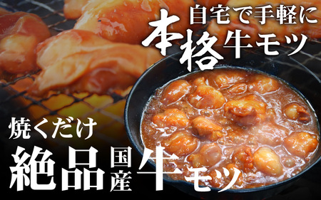 【小分け】 【秘伝のタレ付】 牛 もつ セット 10 人前｜小分け 6袋 計1.5kg 国産 味噌 もつ鍋 焼肉 時短 簡単 小腸 国産牛 パーティー 冬 ホルモン おつまみ 真空 冷凍 大ぶり 簡単調理 グルメ 忘年会 コラーゲン しょうちょう 鍋 バーベキュー 焼き肉 牛肉 肉 もつ モツ 内臓 モツ鍋 もつなべ ギフト 味噌味 味噌スープ 味噌ベース 小浜市 タレ 味付き 味付 [BFAP008] 【配送不可地域：北海道・沖縄・離島】 