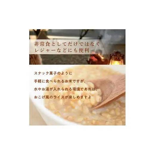利根町産米100％使用　水不要！そのまま食べられる【非常食・備食ライス】しお味（8袋）