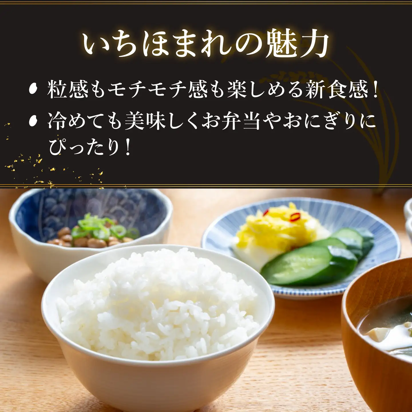 【寄付額見直し】令和7年産 いちほまれ 10kg（5kg × 2袋）お米 ごはん