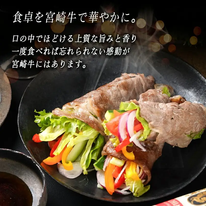 宮崎牛リブローススライス500g〔AO-2501〕_(都城市) 都城産 宮崎牛 リブローススライス 500g 
