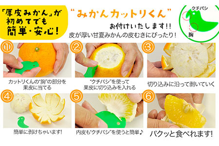 【2026年度先行予約分】みかん 好き必見 甘夏 熊本県産(津奈木町産含む) 甘夏 約 4kg (約7-16玉前後) 柑橘 大玉 ミカン《2月中旬-4月末頃出荷》 フルーツ 旬 甘夏みかん 果物 訳あり 定期 でない