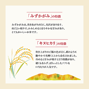 米 4kg お肉に合う湖華舞米 しゃぶしゃぶ・すき焼きに合うお米 精米 みずかがみ キヌヒカリ