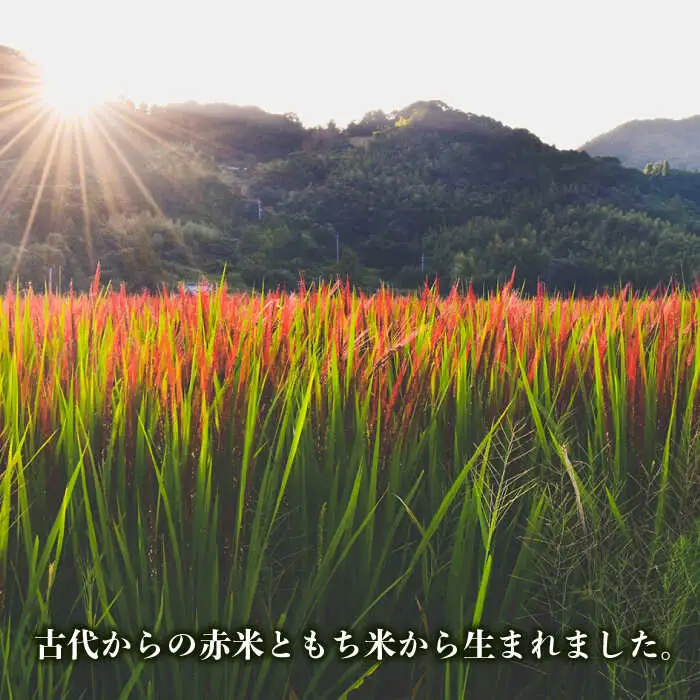 糸島産赤米（5分づき） 糸島市 / Carna [ALA053] 雑穀米 雑穀