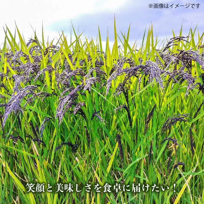 糸島産黒米 糸島市 / Carna [ALA054] 雑穀米 雑穀