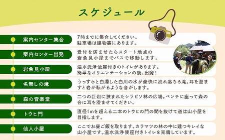 2025・26年度シーズン 乗鞍山麓 秘境「五色ヶ原の森」トレッキング  ロングコース「ゴスワラコース（所要8時間）」大人2名分 | 観光 森 自然 ガイド 案内 ツアー トレッキング 飛騨高山 乗鞍山麓五色ヶ原の森 MK003