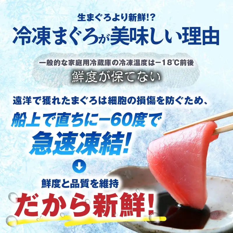 お正月 用 メバチ鮪 柵 セット（ 神奈川県漁連 ） M077-006-02 冷凍 マグロ