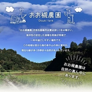 【11月～常温】百笑オーガニック野菜セット（8～10品目）（KAG-1）