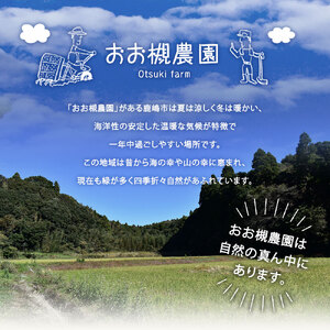 【3ヶ月定期便】百笑オーガニック野菜セット（8～10品目）（KAG-2）