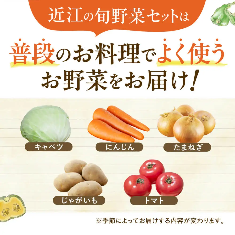東近江市産 野菜セット JAグリーン近江 滋賀県 東近江市 A14 新鮮 旬 詰め合わせ 産地直送 有機野菜 厳選 お取り寄せ