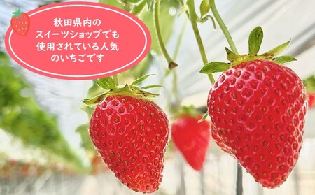 冷凍いちご 秋田県産 冷凍いちご【3kg(500g×6)】【冷凍】