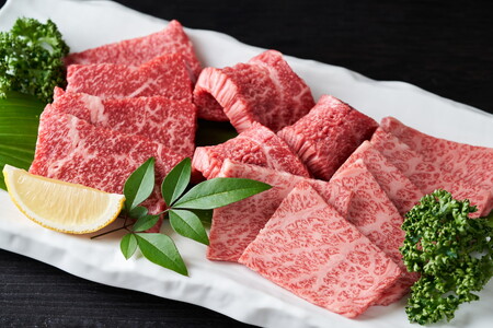 訳あり！艶さし！佐賀牛焼肉切り落とし　500ｇ J1356
