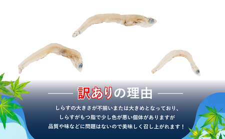 ちりめん 訳あり 1kg (200g × 5袋) 和田島産 ちりめん