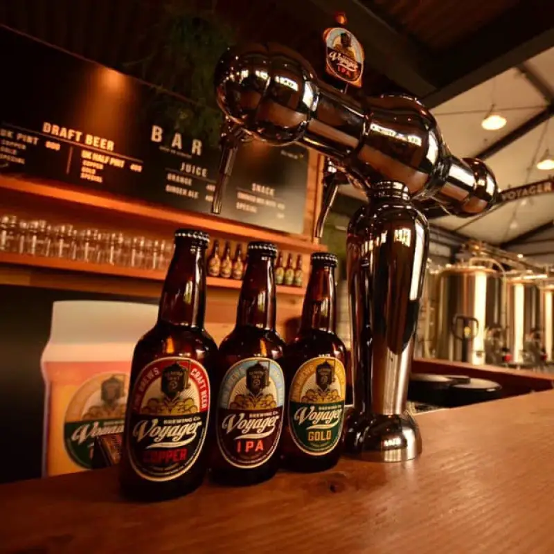クラフトビール ボイジャーブルーイング COPPER（アルコール度数6%）330ml×6本 クール便 / 和歌山 クラフトビール 地ビール 瓶ビール 地酒 ボイジャーブルーイング セット お酒 バーベキュー キャンプ 晩酌 父の日 ギフト プレゼント 贈り物 田辺市【bbi003】