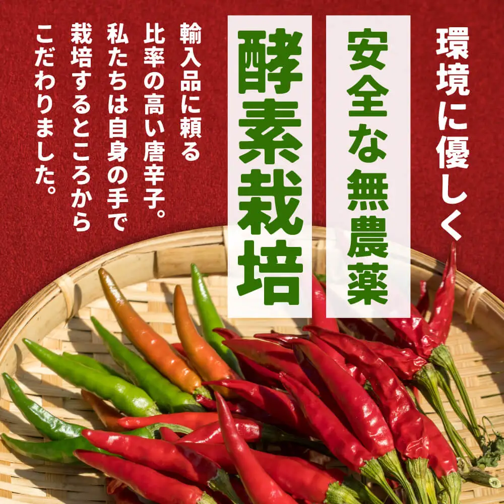 うまい唐がらし料理人の隠し味脇役セット 有限会社ヤマサン 滋賀県 東近江市 A-F11 一味唐辛子 料理の隠し味 脇役セット 唐辛子 ヤマサン 自社農園 厳選 粉末 山椒入り 柚子入り 香り 辛い 調味料 スパイス 薬味 激辛 滋賀県 東近江市