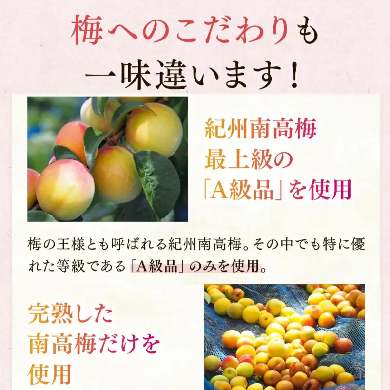 梅干し 蜜恋はちみつ梅干し 800g塩分5％【kbe001-1】