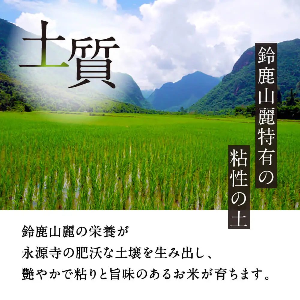 近江永源寺米コシヒカリ みずかがみ食べ比べ 株式会社カネキチ 滋賀県 東近江市 C05 米 食べ比べ セット コシヒカリ みずかがみ 8kg 滋賀県産 新米 白米