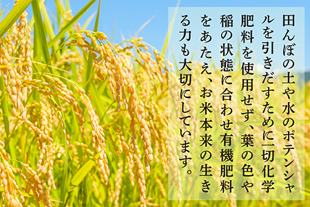【R6年 新米 定期便全6回】毎月配送 多良木町産 受賞 米 こめたらぎ にこまる 10kg × 6ヶ月 合計60kg 白米 精米 熊本県 多良木町 自然 豊か グランプリ お米 米 農家 多良木のびる 044-0584-a