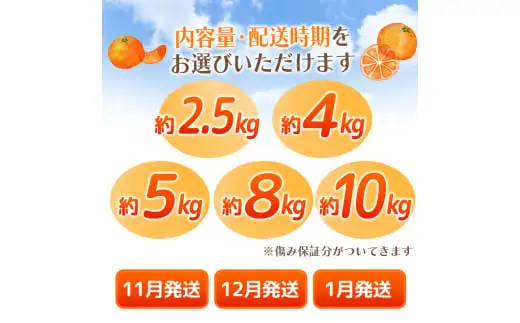 【2026年12月発送予約分】【家庭用】【農家直送】こだわりの有田みかん 10kg＋150g(傷み補償分)  有機質肥料100% サイズ混合　【12月発送】※北海道・沖縄・離島配送不可【nuk004-c-10-decI】