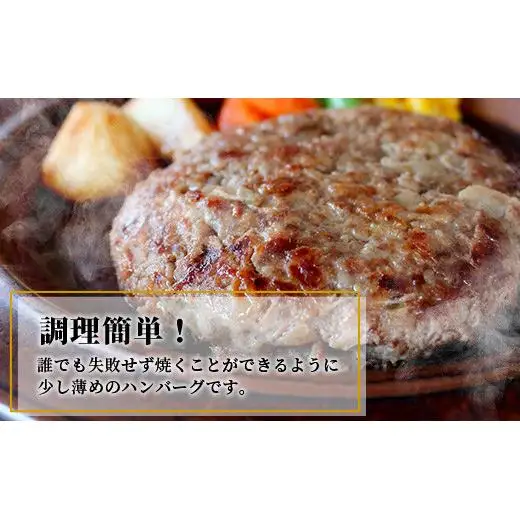 ミルミル和牛 石垣島ハンバーグ 5個入り（合計750g） Z-4