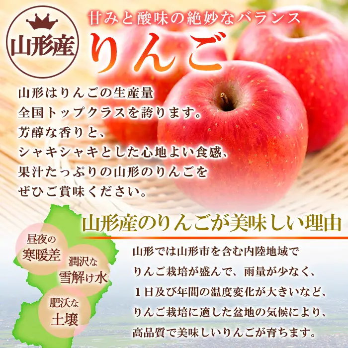 【ご自宅用】山形産サンふじりんご　約10kg(26～56玉) FZ26-746
