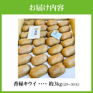 【さぬき讃フルーツ】香緑キウイ(スイート16)約3kg