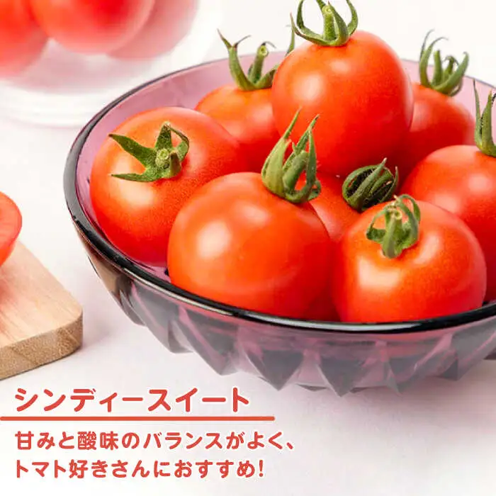 ミディアムトマト 3kg（1.5kg×2箱）《壱岐市》【ISLAND FARM】[JFL002]