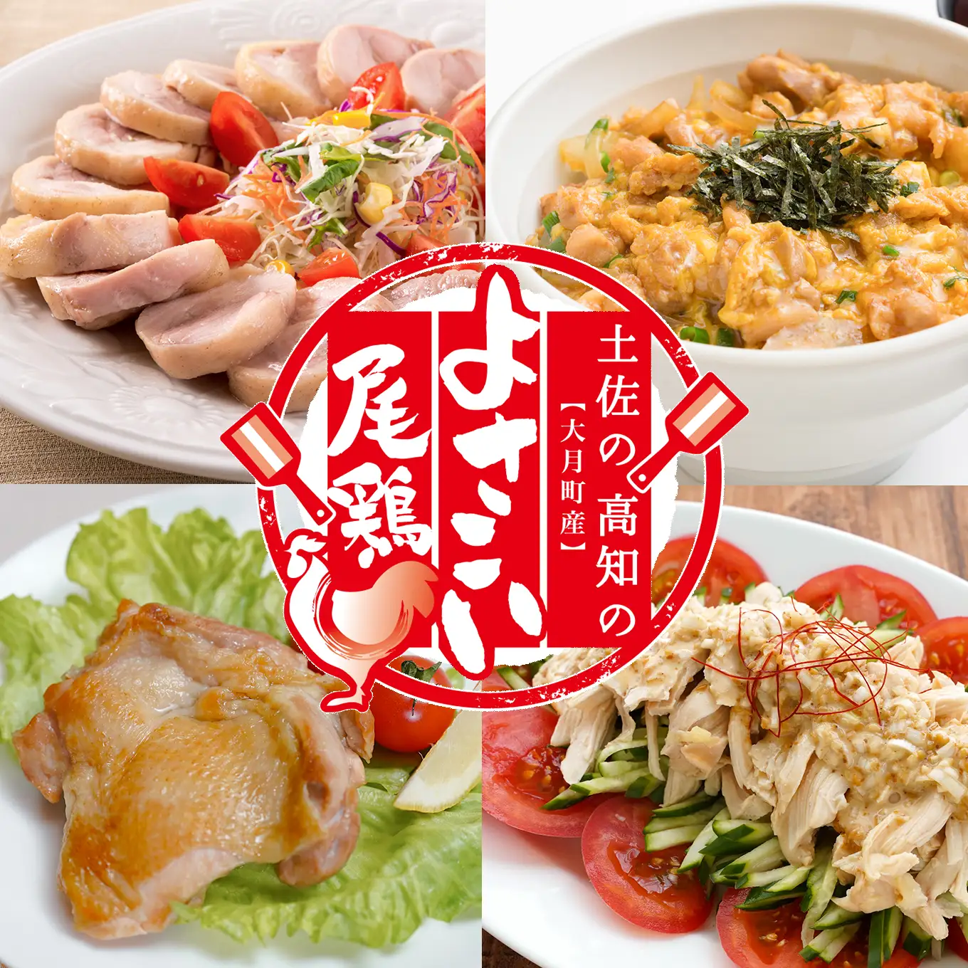 【定期便 12回】よさこい尾鶏 もも肉角切り 900g（300g×3パック）
