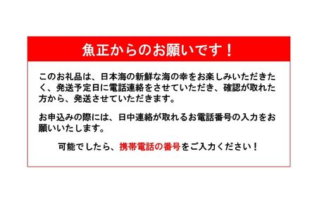 【2026年8月以降発送】天然のどくろ (アカムツ) 3尾 約1kg 先行予約 鮮度抜群！水揚げ直後に発送 高級魚 生 刺身 煮付け 下処理可能 魚正 日本海 刺身 ノドグロ のどぐろ 赤ムツ