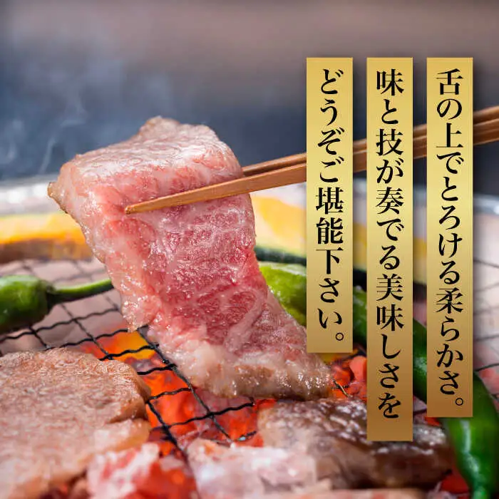 【全3回定期便】A5‐A4ランク 博多和牛 厳選セット（計1150g）焼肉たれ・塩胡椒付 [ABCJ117]