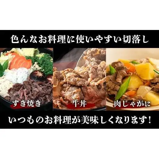 石垣牛 切り落とし スライス (300g×4パック) 計1.2kg　AB-25-1