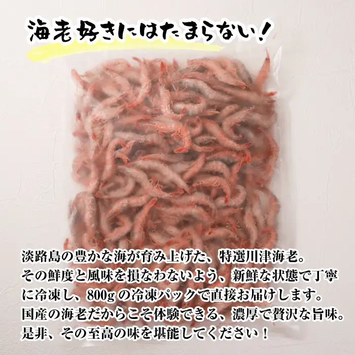 淡路島産 活川津エビ 800g　　[えび 海老]