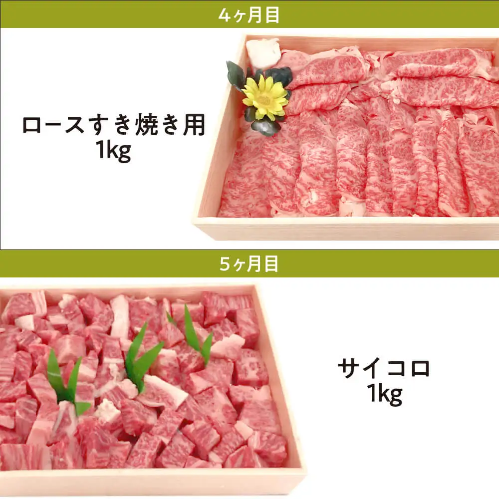 定期便 近江牛ロース満喫コース（5回）サーロイン1kg,厚切り1kg,ブロック1kg,すき焼き1kg,サイコロ1kg 肉の大助 滋賀県 東近江市 CO05 近江牛 定期便 5回 ロース A4 A5 食べ比べ