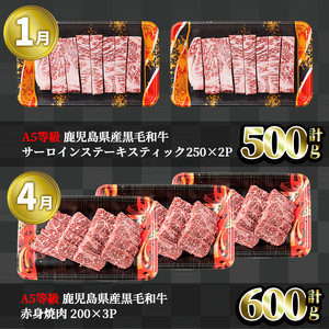＜定期便・全4回＞ お試し 黒毛和牛 定期便 国産 鹿児島県産  【LRプラスK】T9-v01