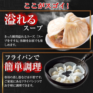 本格小籠包(24個入・焼き) 箕面市 特産品 簡単 インスタント 冷凍食品 冷凍 中華 簡単調理 お手軽 本格 こだわり フライパン フライパン調理 セット 南翔小籠包 点心 コラーゲン 肉汁 溢れる【m47-01-B】【株式会社リ・ライフ】