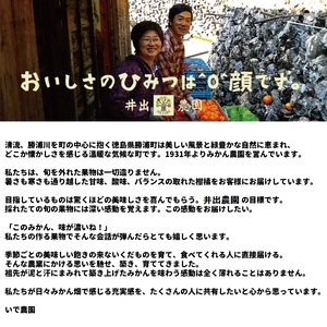 井出農園 訳あり 極早生 初摘みかん 家庭用 S-L混合 10kg
