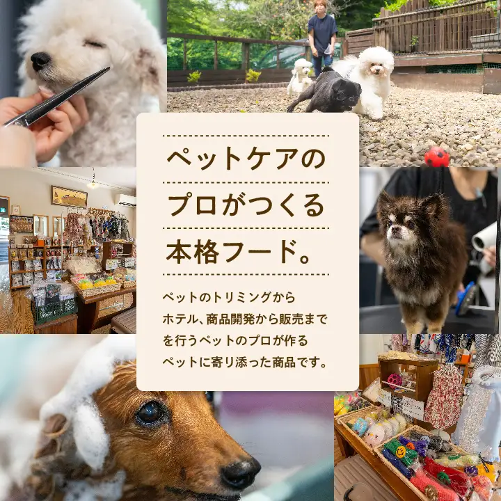 ドッグフード 愛犬ごはん 馬肉 6食セット 犬 ペットフード【株式会社ハートオブワン】