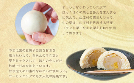 やまえ栗衛門 栗まんじゅう・びっ栗だんご詰め合わせ
