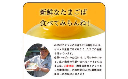 横谷さんの平飼いたまご Mサイズ60個入り 破損保証10個含む 山江村ヤマメ生産組合《30日以内に出荷予定(土日祝除く)》 st-p