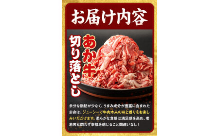 3ヶ月定期便 あか牛 切り落とし 1kg 五右衛門フーズ 《お申込み月の翌月から出荷開始》 熊本県 球磨郡 山江村 牛肉 肉 国産 熊本県産 ブランド牛 絶品 贅沢 高級 あか牛 定期便 st-p