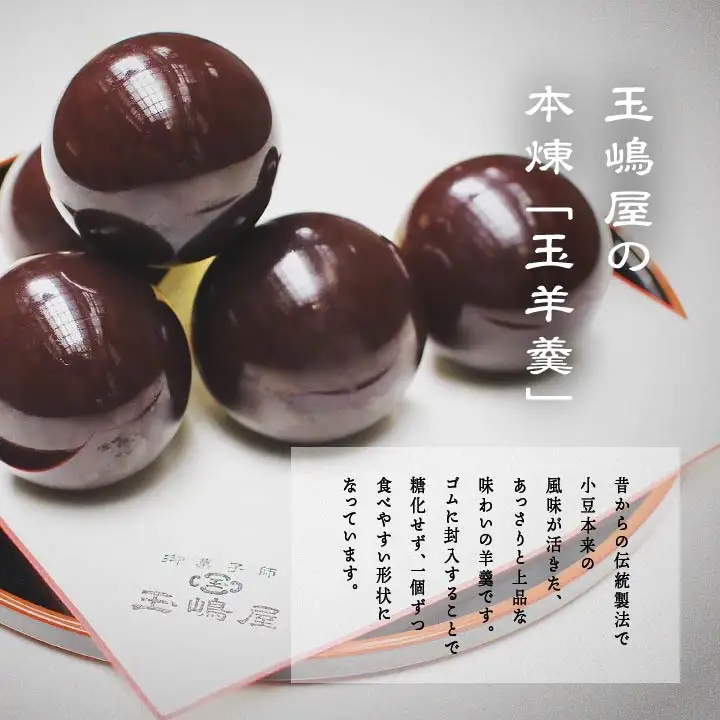 羊羹 玉嶋屋の玉羊羹 10個入り ようかん【株式会社玉嶋屋】
