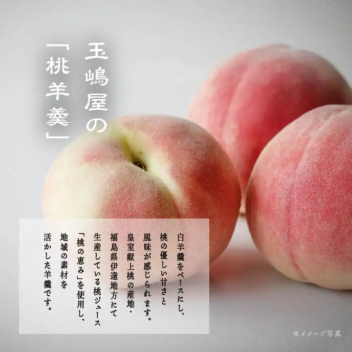 羊羹 玉嶋屋の桃玉詰め合わせ 10個入り ようかん【株式会社玉嶋屋】