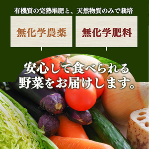 【 定期便 3回 】生命の農法（ 無化学農薬 ・ 無化学肥料栽培 ） 季節 の 野菜 セット | 慈光会自然食品販売所 定期