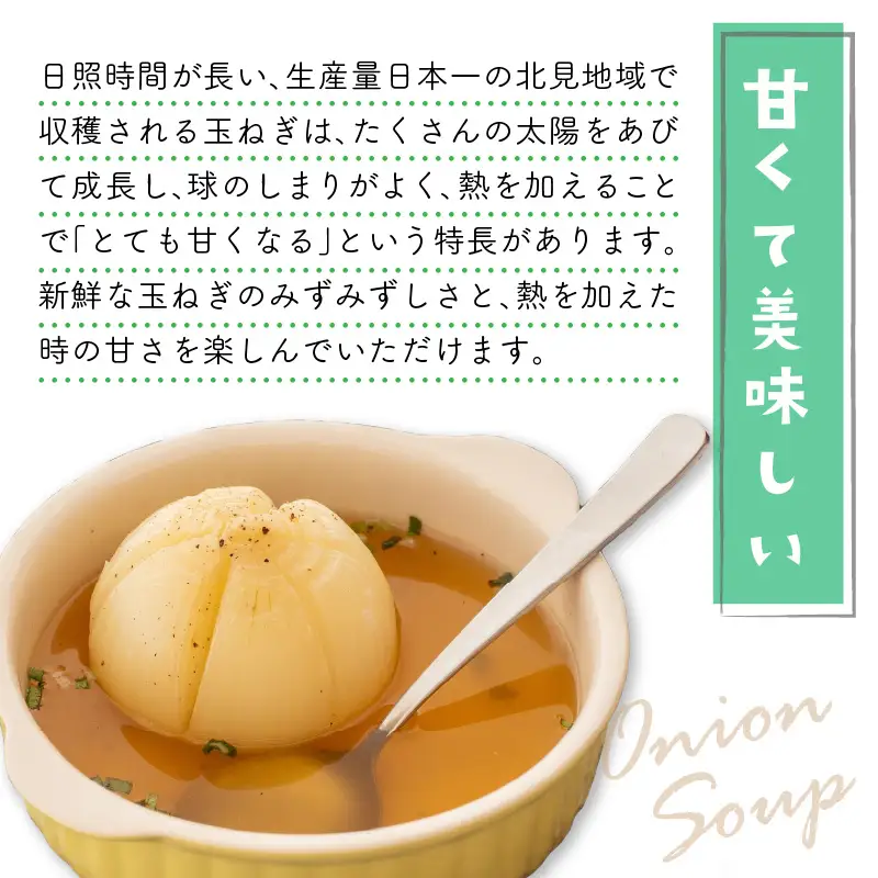 【隔月3回(11月・1月・3月)定期便】JAきたみらいから直送する新鮮玉ねぎ 10kg Lサイズ以上 ( 野菜 定期便 玉葱 たまねぎ )【999-0014-2026】